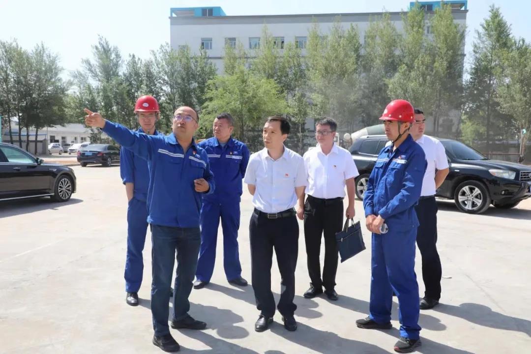 1625013417523977.jpeg 2.jpg