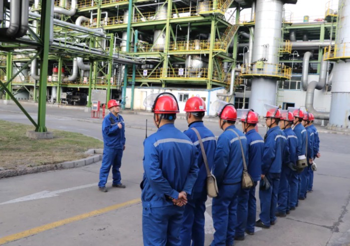 1642490744908453.png 3.png