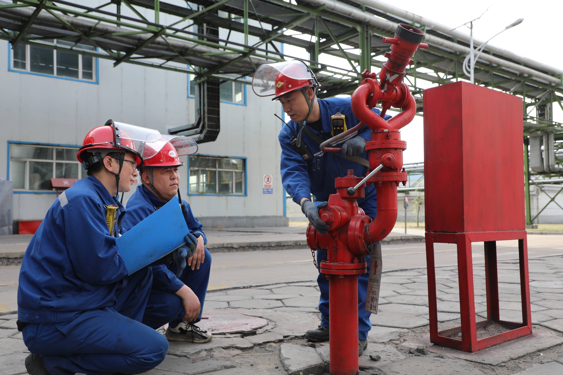 1722470975688795.jpeg 2(1).jpg