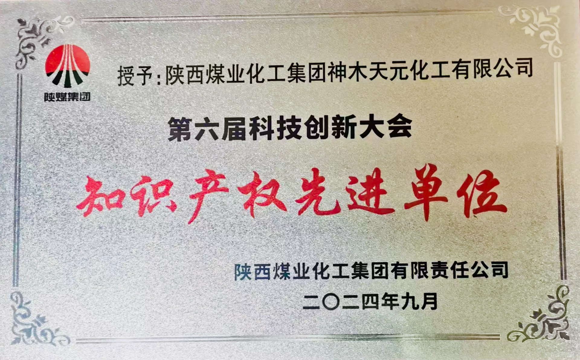 1725495055970544.jpeg 1.jpg