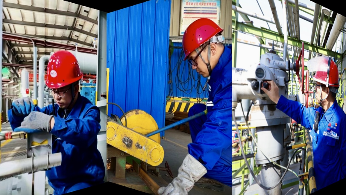 1731370054262861.jpeg 微信圖片_20241111161216.jpg